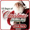 12 Days of Christmas Giveaway