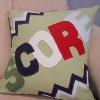 Sporty Applique Throw Pillow