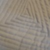Straight Line Echo Quilting