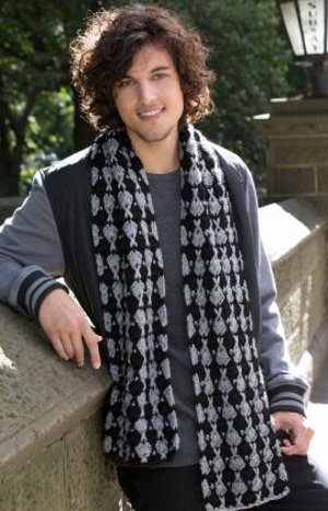 http://www.favequilts.com/master_images/Crochet/japanese-fan-crocheted-scarf.jpg