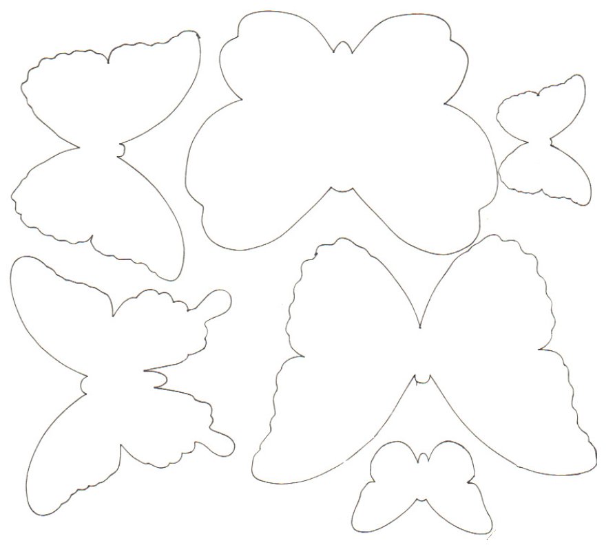 spring shapes template